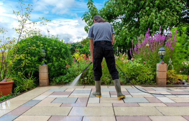Best Animal Enclosure Cleaning  in Karnes City, TX